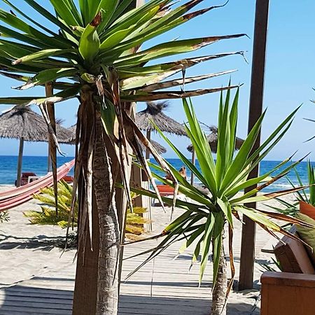 كانيه Beau Studio A 1 Minute De La Plage المظهر الخارجي الصورة