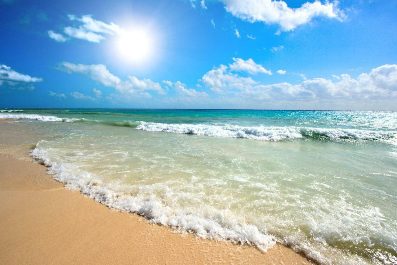 كانيه Beau Studio A 1 Minute De La Plage المظهر الخارجي الصورة