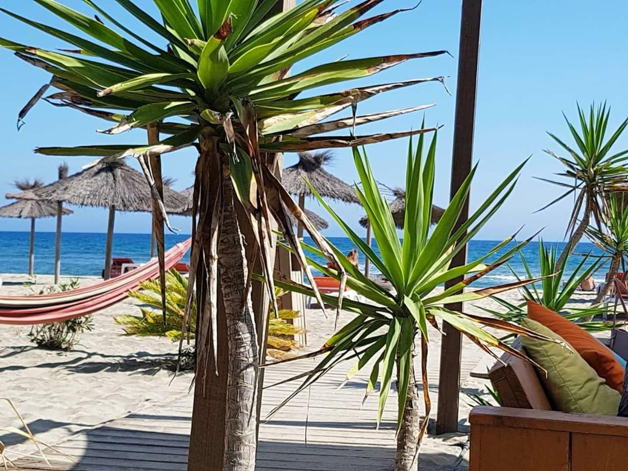 كانيه Beau Studio A 1 Minute De La Plage المظهر الخارجي الصورة